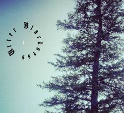 What Could Have Been